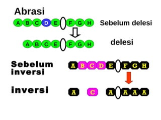 A B C A B C E H D G F H E G F delesi Sebelum delesi C A A E B G H A C F A A D A Sebelum  inversi inversi Abrasi 