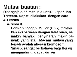 Mutasi buatan : Disengaja oleh manusia untuk  keperluan Tertentu. Dapat  dilakukan  dengan cara : Fisiska a. sinar X Herman Joseph  Muller (1927) melaku kan eksperimen dengan lalat buah, se makin  banyak  penyinaran  makin ba- nyak  yang letal.  Macam  mutasi yang terjadi adalah aberasi kromosom. Sinar X sangat berbahaya bagi Ibu yg mengandung, dapat kanker. 