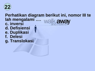 Perhatikan diagram berikut ini, nomor III te lah mengalami …. inversi Defisiensi Duplikasi Delesi Translokasi 22 