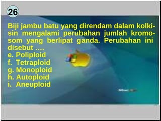 26 Biji jambu batu yang direndam dalam kolki- sin  mengalami  perubahan  jumlah  kromo- som  yang  berlipat  ganda.  Perubahan  ini  disebut …. Poliploid Tetraploid Monoploid Autoploid Aneuploid 