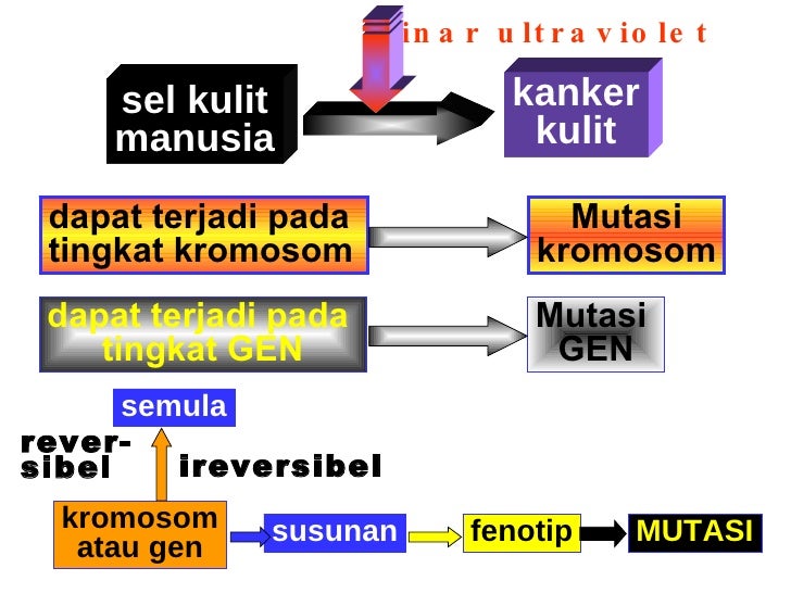 Bab mutasi