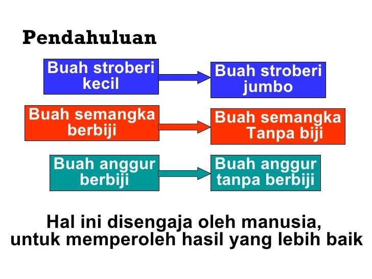 Contoh Evolusi Mutasi Gen - Job Seeker