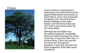 Babool tree | PPTX