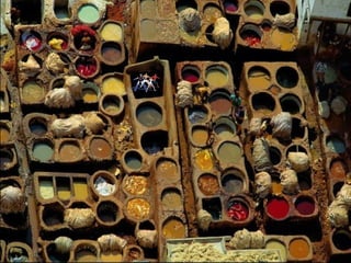 Ba borntobealive ok-2-1