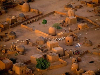 Ba borntobealive ok-2-1