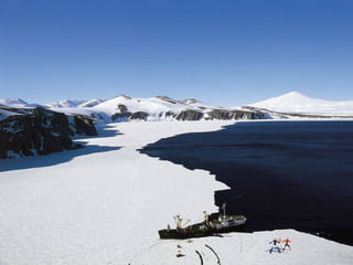 Ba borntobealive ok-2-1