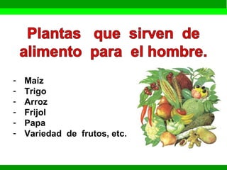 - Maíz 
- Trigo 
- Arroz 
- Frijol 
- Papa 
- Variedad de frutos, etc. 
 