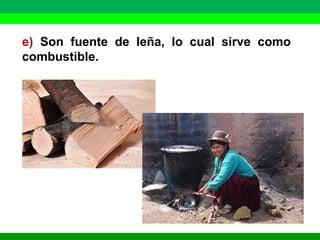 e) Son fuente de leña, lo cual sirve como 
combustible. 
 