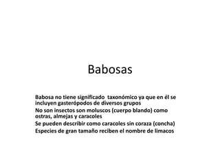 Babosas
Babosa no tiene significado taxonómico ya que en él se
incluyen gasterópodos de diversos grupos
No son insectos so...
