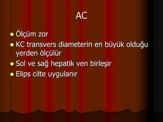 AC
 Ölçüm zor
 KC transvers diameterin en büyük olduğu
yerden ölçülür
 Sol ve sağ hepatik ven birleşir
 Elips cilte uygulanır
 