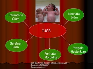 IUGR
Neonatal
ölüm
İntrauterin
Ölüm
Serebral
Palsi
Perinatal
Morbidite
Yetişkin
Hastalıkları
Kady Best Pract Res Clin Obstet Gynaecol 2004
Jacobsson BJOG 2008
Barker Lancet 1993
 