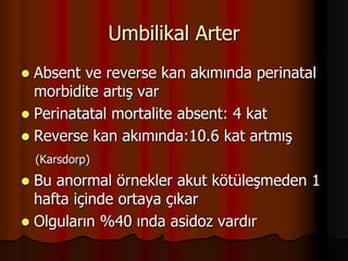 Umbilikal Arter
 Absent ve reverse kan akımında perinatal
morbidite artış var
 Perinatatal mortalite absent: 4 kat
 Reverse kan akımında:10.6 kat artmış
(Karsdorp)
 Bu anormal örnekler akut kötüleşmeden 1
hafta içinde ortaya çıkar
 Olguların %40 ında asidoz vardır
 