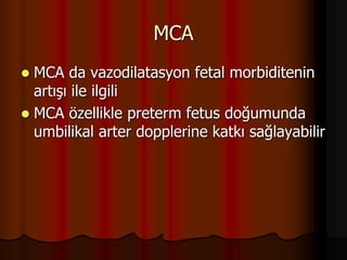MCA
 MCA da vazodilatasyon fetal morbiditenin
artışı ile ilgili
 MCA özellikle preterm fetus doğumunda
umbilikal arter dopplerine katkı sağlayabilir
 