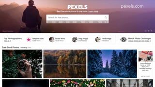 pexels.com
 