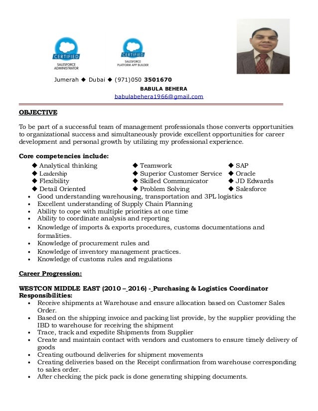 babula cv logistics