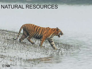   Industrial India Trade Fair ( December )