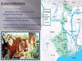   Travel & Tourism fair ( August )