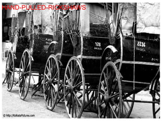 SUNDARBANDSThe Venice of NatureSituated on the lower end of the Gangetic West Bengal