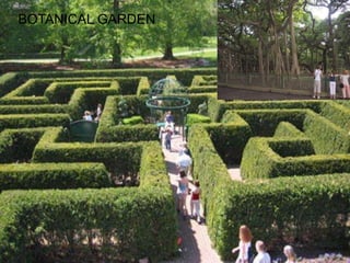 HAND-PULLED-RICKSHAWS