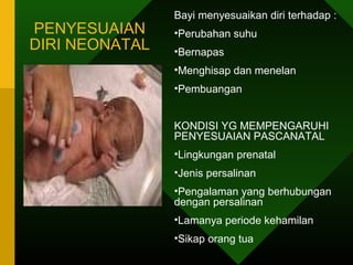 Bayi menyesuaikan diri terhadap :
PENYESUAIAN     •Perubahan suhu
DIRI NEONATAL   •Bernapas
                •Menghisap dan menelan
                •Pembuangan


                KONDISI YG MEMPENGARUHI
                PENYESUAIAN PASCANATAL
                •Lingkungan prenatal
                •Jenis persalinan
                •Pengalaman yang berhubungan
                dengan persalinan
                •Lamanya periode kehamilan
                •Sikap orang tua
 