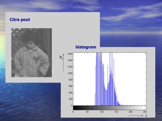Bab v histogram | PPT