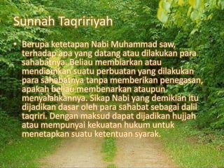 Sunnah Taqririyah
• Berupa ketetapan Nabi Muhammad saw,
terhadap apa yang datang atau dilakukan para
sahabatnya. Beliau membiarkan atau
mendiamkan suatu perbuatan yang dilakukan
para sahabatnya tanpa memberikan penegasan,
apakah beliau membenarkan ataupun
menyalahkannya. Sikap Nabi yang demikian itu
dijadikan dasar oleh para sahabat sebagai dalil
taqriri. Dengan maksud dapat dijadikan hujjah
atau mempunyai kekuatan hukum untuk
menetapkan suatu ketentuan syarak.

 