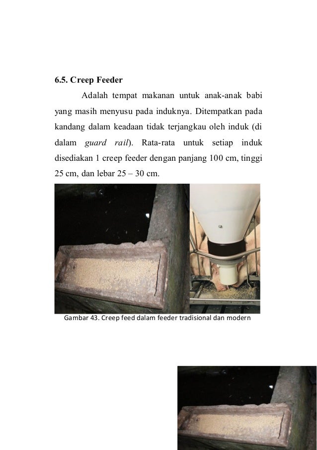 Bab Vi Kandang Dan Peralatan
