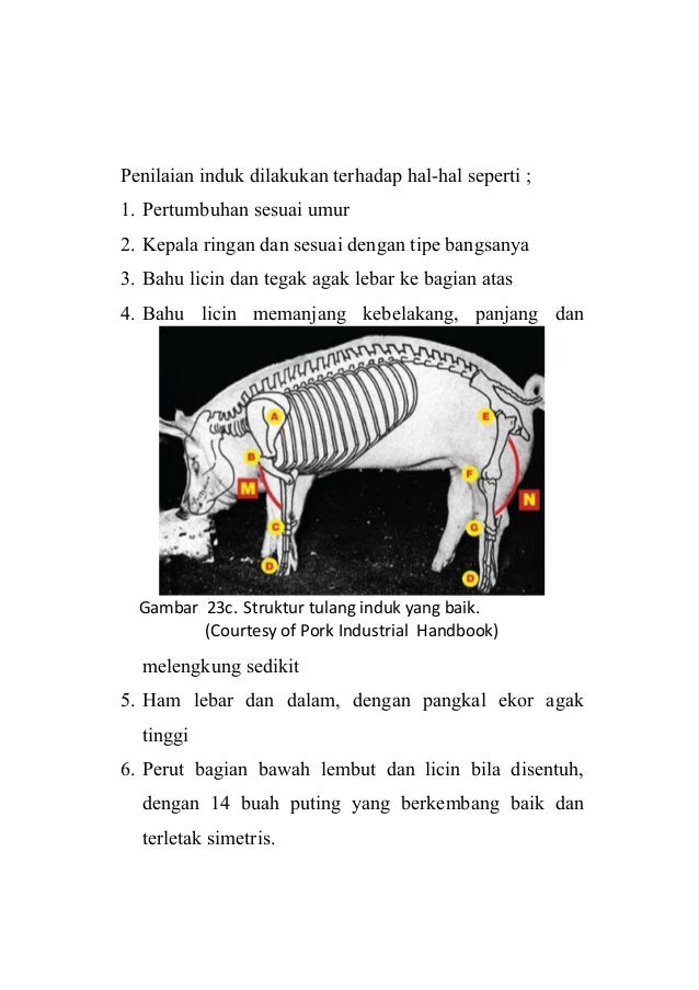 40 Gambar Poster Pemuliaan Hewan Terlengkap Kumpulan Gambar Poster 40 Gambar Poster Pemuliaan Hewan Terlengkap Kumpulan Gambar Poster