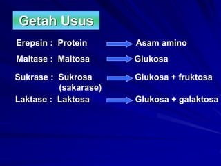 Getah Usus
Erepsin : Protein Asam amino
Maltase : Maltosa Glukosa
Sukrase : Sukrosa Glukosa + fruktosa
(sakarase)
Laktase : Laktosa Glukosa + galaktosa
 