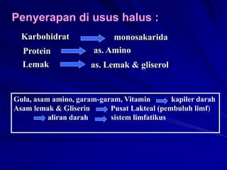 Penyerapan di usus halus :
Gula, asam amino, garam-garam, Vitamin kapiler darah
Asam lemak & Gliserin Pusat Lakteal (pembuluh limf)
aliran darah sistem limfatikus
Karbohidrat monosakarida
Protein as. Amino
Lemak as. Lemak & gliserol
 