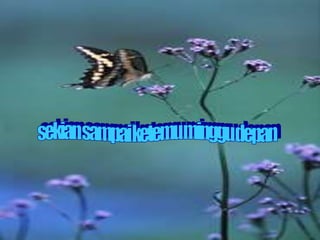 Bab V PENCERNAAN MAKANAN 2.ppt