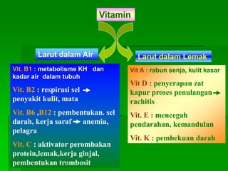 Vitamin
Larut dalam Air Larut dalam Lemak
Vit. B1 : metabolisme KH dan
kadar air dalam tubuh
Vit. B2 : respirasi sel
penyakit kulit, mata
Vit. B6 ,B12 : pembentukan. sel
darah, kerja saraf anemia,
pelagra
Vit. C : aktivator perombakan
protein,lemak,kerja ginjal,
pembentukan trombosit
Vit A : rabun senja, kulit kasar
Vit D : penyerapan zat
kapur proses penulangan
rachitis
Vit. E : mencegah
pendarahan, kemandulan
Vit. K : pembekuan darah
 