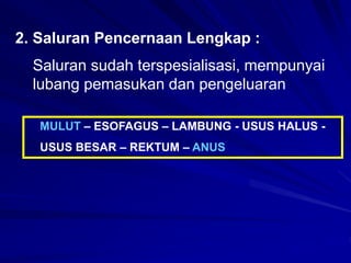 2. Saluran Pencernaan Lengkap :
Saluran sudah terspesialisasi, mempunyai
lubang pemasukan dan pengeluaran
MULUT – ESOFAGUS – LAMBUNG - USUS HALUS -
USUS BESAR – REKTUM – ANUS
 