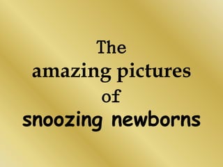 The
 amazing pictures
        of
snoozing newborns
 