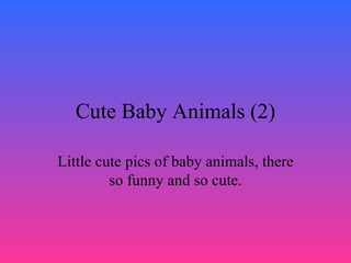 Cute Baby Animals (2) Little cute pics of baby animals, there so funny and so cute. 