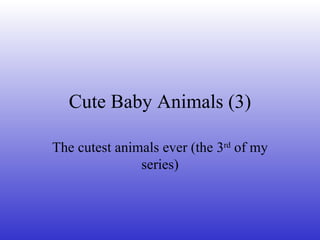 Cute Baby Animals (3) The cutest animals ever (the 3 rd  of my series) 