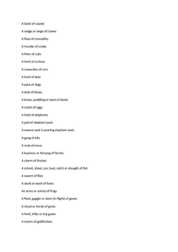 Baby Animal Names Baby Animal Names