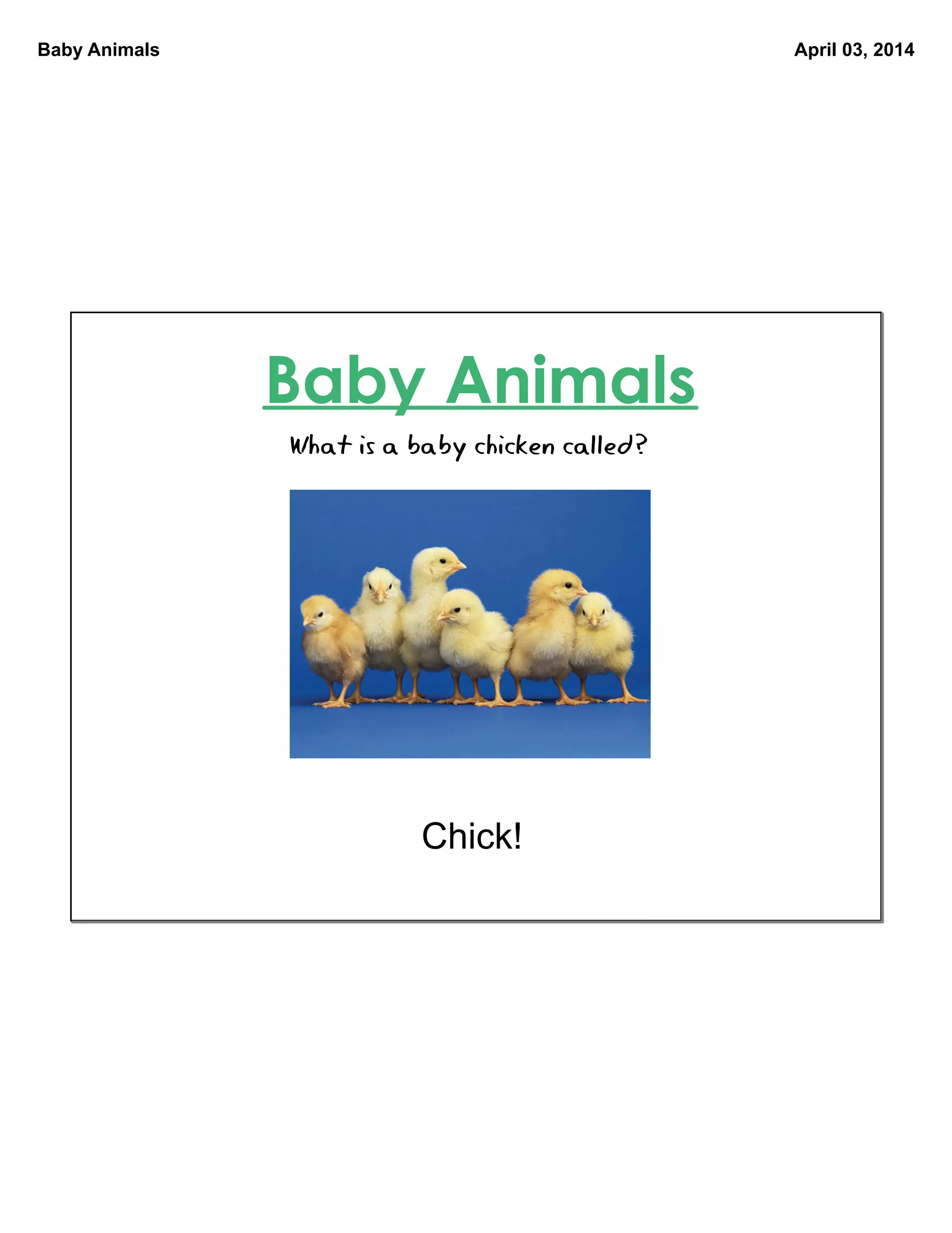Baby animals | PDF