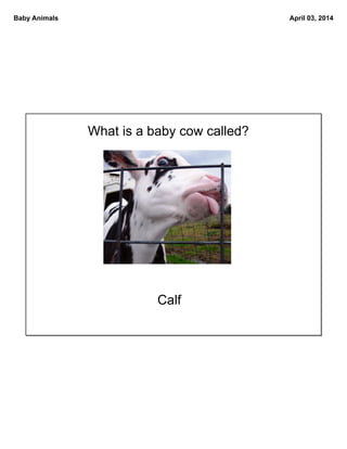Baby animals | PDF