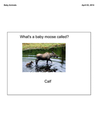 Baby animals | PDF