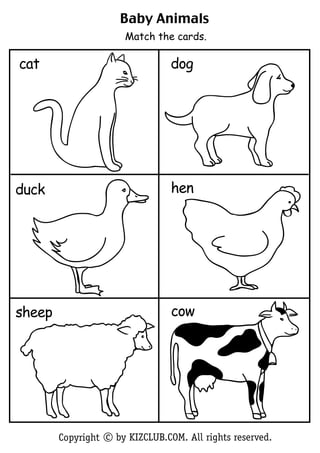 Baby Animals
                      Match the cards.

cat                              dog




duck                             hen




sheep                            cow




        Copyright c by KIZCLUB.COM. All rights reserved.