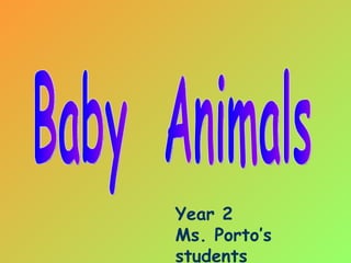 Baby  Animals Year 2 Ms. Porto’s students 