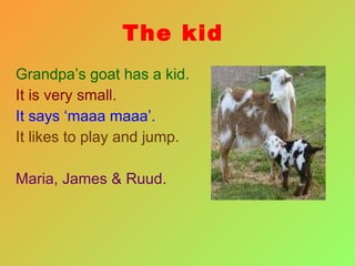 The kid Grandpa’s goat has a kid. It is very small. It says ‘maaa maaa’. It likes to play and jump. Maria, James & Ruud. 