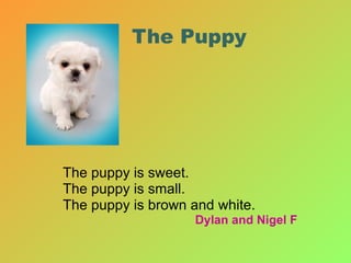 The Puppy The puppy is sweet. The puppy is small. The puppy is brown and white. Dylan and Nigel F 