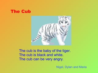 The Cub The cub is the baby of the tiger. The cub is black and white . The cub can be very angry . Nigel, Dylan and Maria 