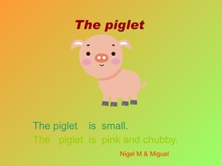The piglet The piglet  is  small. The  piglet  is  pink and chubby. Nigel M & Miguel 