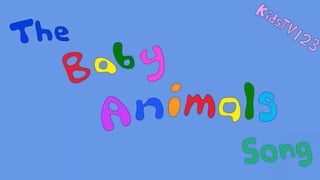 Baby animals song