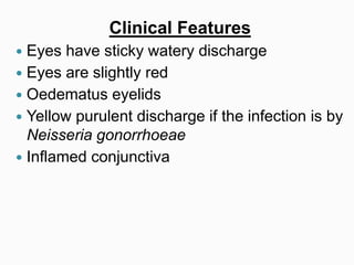 Clinical Features
 Eyes have sticky watery discharge
 Eyes are slightly red
 Oedematus eyelids
 Yellow purulent discharge if the infection is by
Neisseria gonorrhoeae
 Inflamed conjunctiva
 