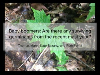 Thomas Mann, Kate Bazany, and Ruth Yanai
Baby boomers: Are there any surviving
germinants from the recent mast year?
 