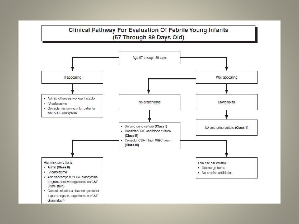 Neonatal Fever Dr. Jeremy Brady